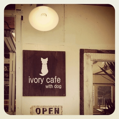 ivory cafe